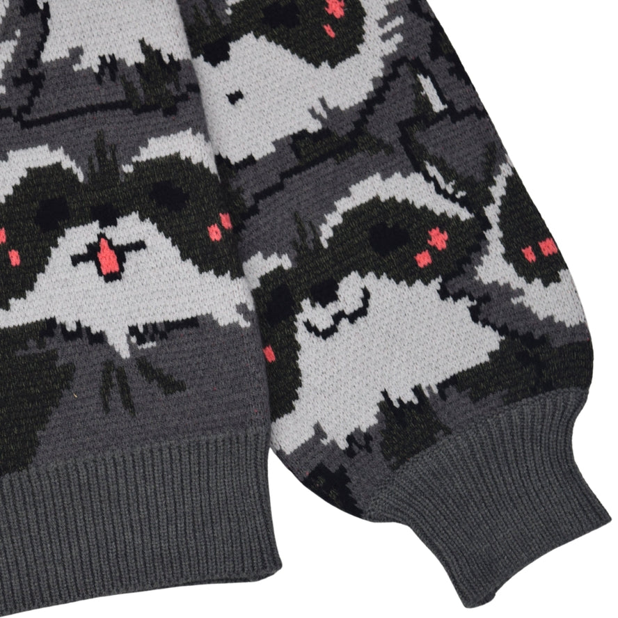 NICE RACC-OON SWEATER