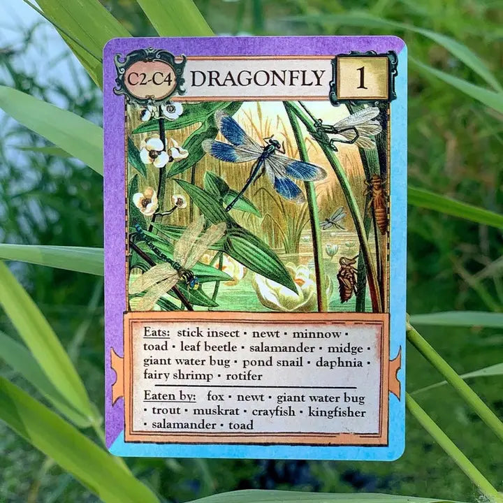 ECOLOGIES CARD GAME BIZARRE BIOMES EXPANSION