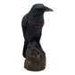 THE RAVEN NEVERMORE STATUE