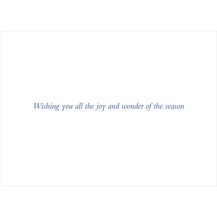 FESTIVE HORSE DELUXE BOXED HOLIDAY CARDS