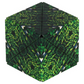 SHASHIBO: FOREST