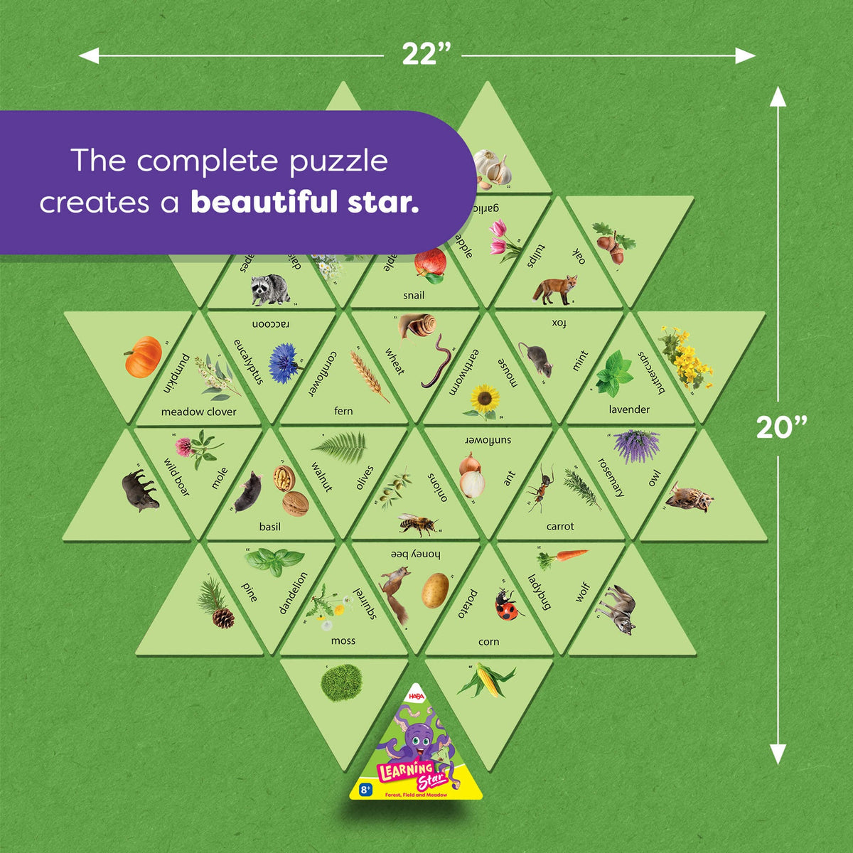 LEARNING STAR: FOREST, FIELD, AND MEADOW