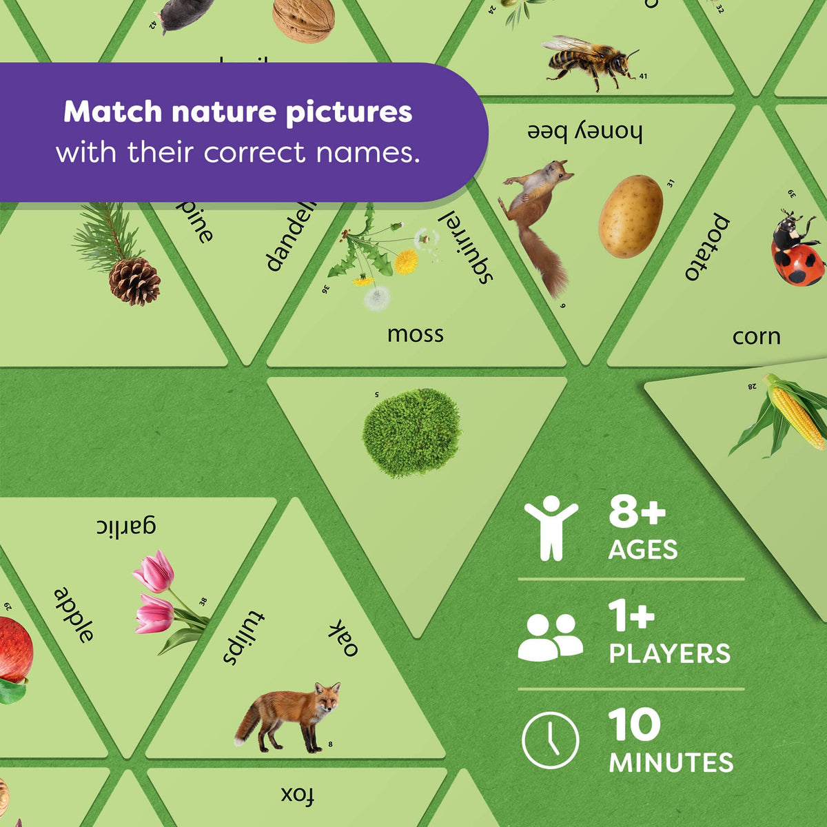 LEARNING STAR: FOREST, FIELD, AND MEADOW
