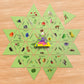LEARNING STAR: FOREST, FIELD, AND MEADOW