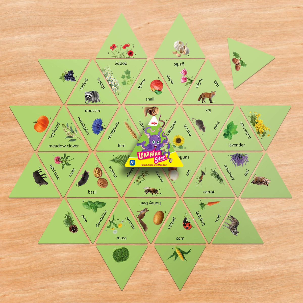 LEARNING STAR: FOREST, FIELD, AND MEADOW