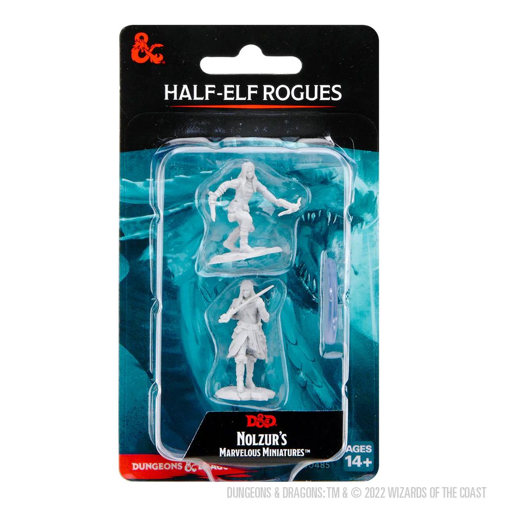 D&D NOLZUR'S HALF-ELF ROGUE FEMALE