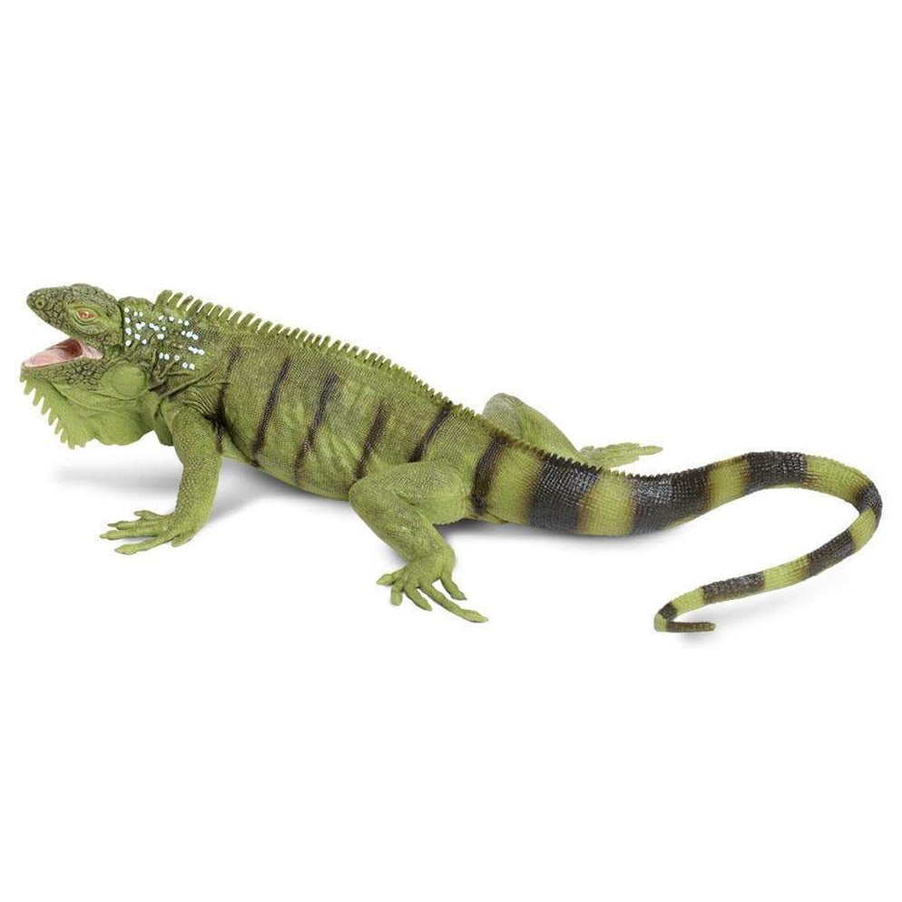 IGUANA