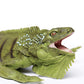 IGUANA