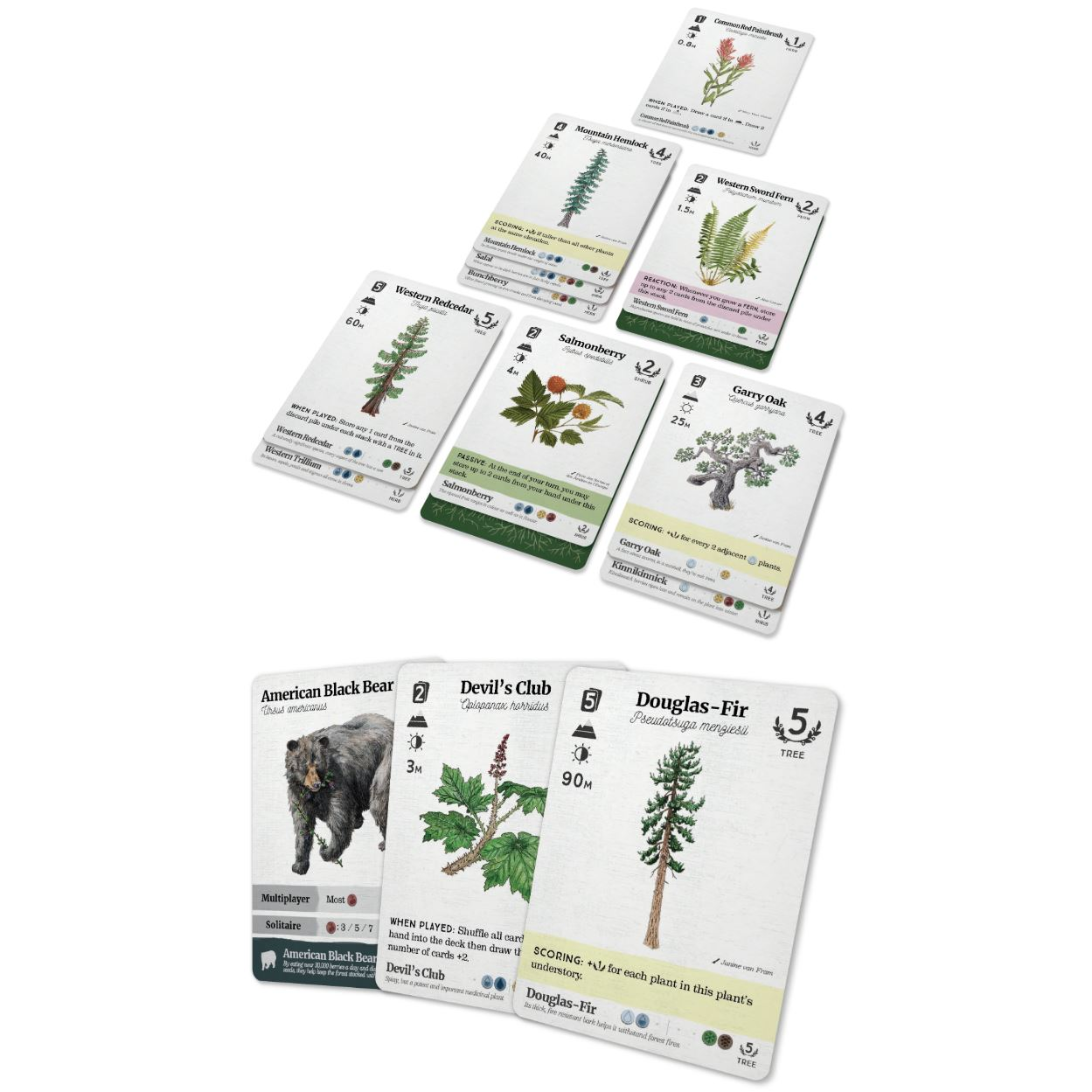 REFOREST: PLANTS OF THE PACIFIC NORTHWEST COAST