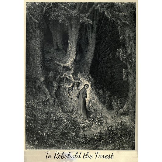 TO REBEHOLD THE FOREST