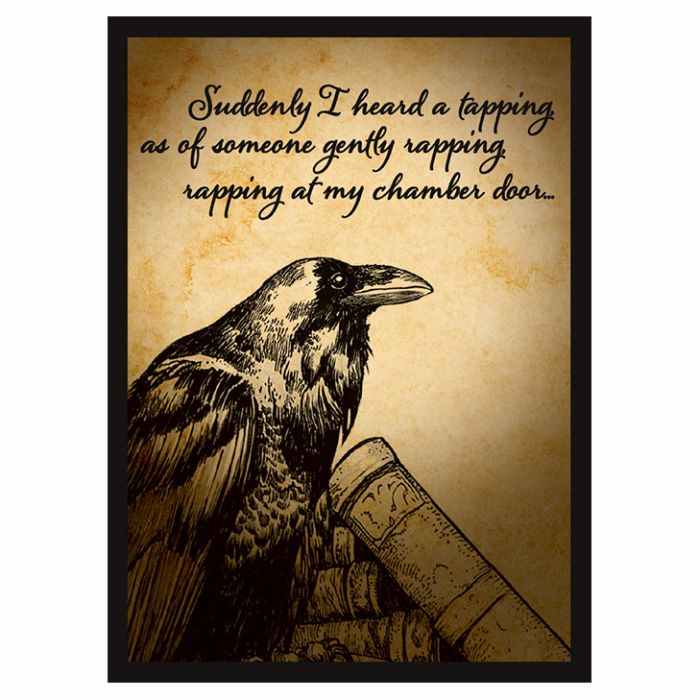 LEGION RAVEN SLEEVES (50)