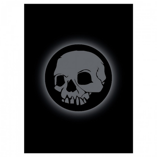 ABSOLUTE SKULL SLEEVES