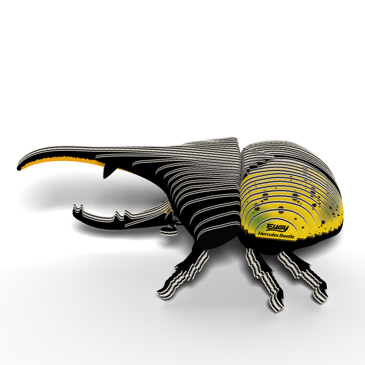 EUGY HERCULES BEETLE