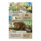 FOREST SHUFFLE: DARTMOOR STAND-ALONE GAME