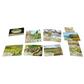FOREST SHUFFLE: DARTMOOR EXMOOR EXPANSION