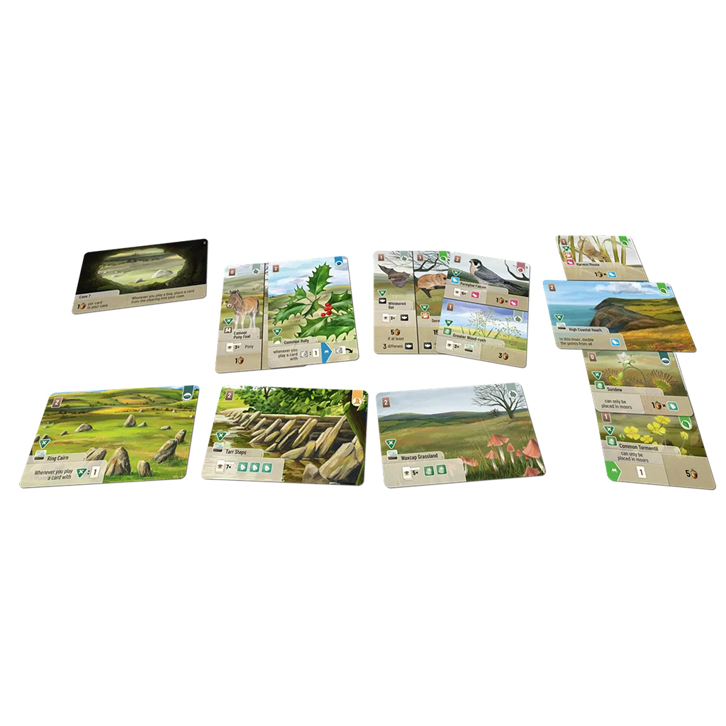 FOREST SHUFFLE: DARTMOOR EXMOOR EXPANSION