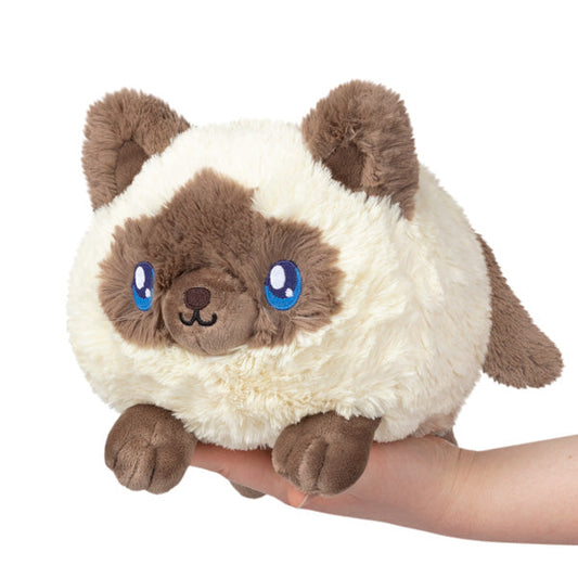SQUISHABLE MINI COLORPOINT KITTY