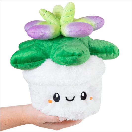 SQUISHABLE MINI SUCCULENT