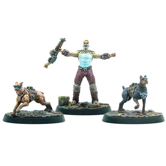 FALLOUT WASTELAND WARFARE RAIDERS: TOP DOGS