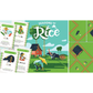 SEASONS OF RICE