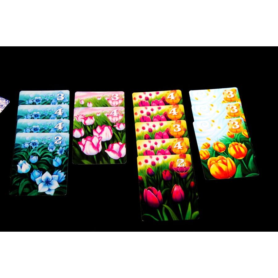 GIFT OF TULIPS