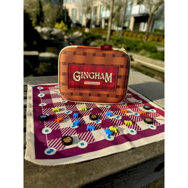 GINGHAM TRAVEL CASE