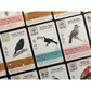 WINGSPAN AMERICAS EXPANSION