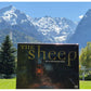 THE SHEEP