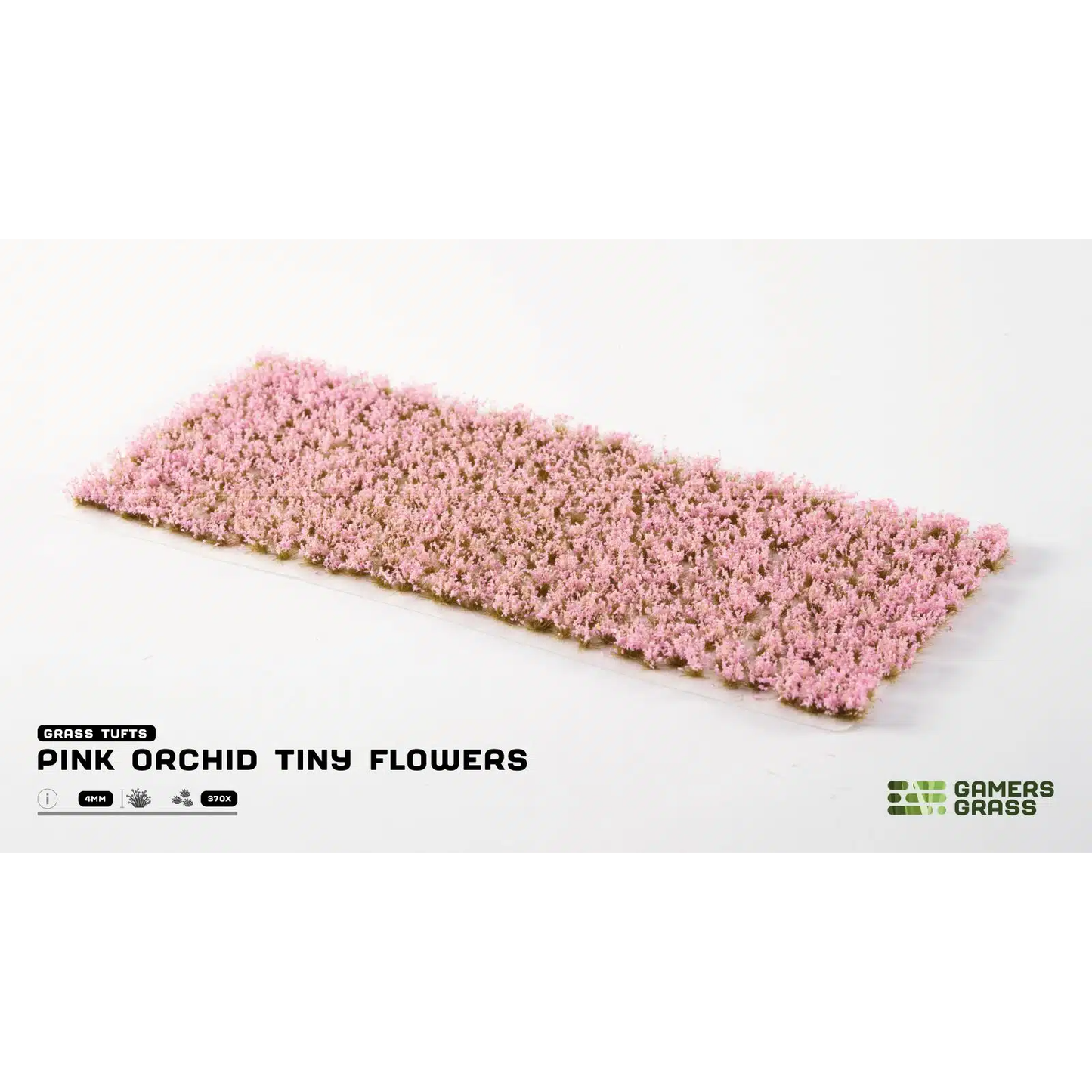 GAMER'S GRASS PINK ORCHID TINY FLOWERS