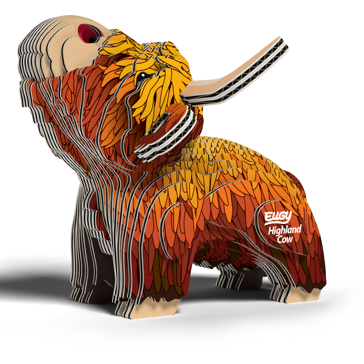 EUGY HIGHLAND COW
