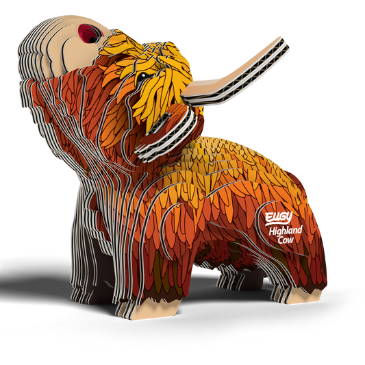 EUGY HIGHLAND COW