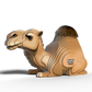 EUGY CAMEL