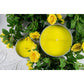 SACRED FLAME 2oz GAMING CANDLE