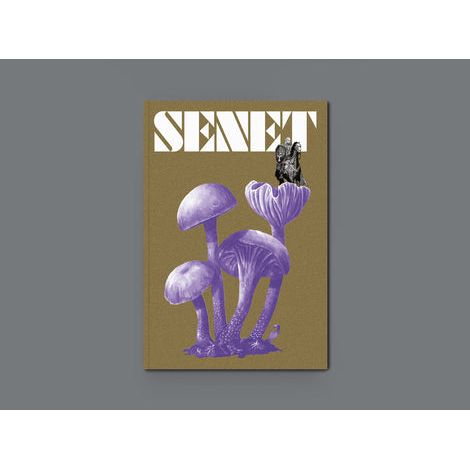 SENET MAGAZINE ISSUE: 12 AUTUMN 2023