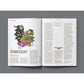 SENET MAGAZINE ISSUE: 21 WINTER 2025