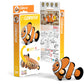 EUGY CLOWNFISH