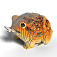 EUGY DESERT SPADEFOOT TOAD