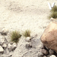VALLEJO DIORAMA FX EARTH TEXTURE GREY SAND