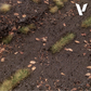 VALLEJO DIORAMA FX RUSSIAN MUD