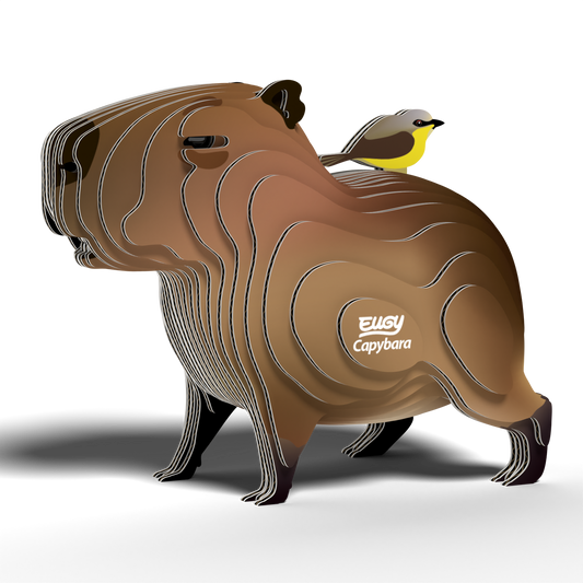 EUGY CAPYBARA