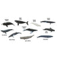 TOOB WHALES