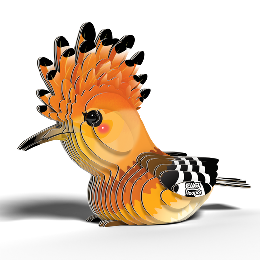 EUGY HOOPOE
