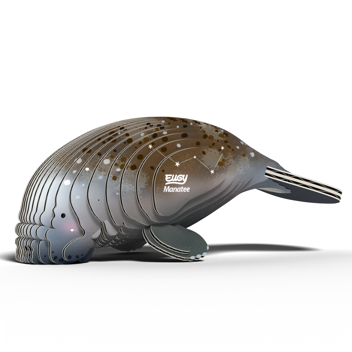 EUGY MANATEE