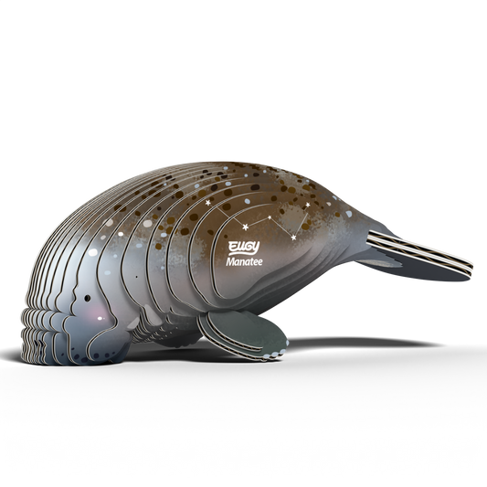 EUGY MANATEE