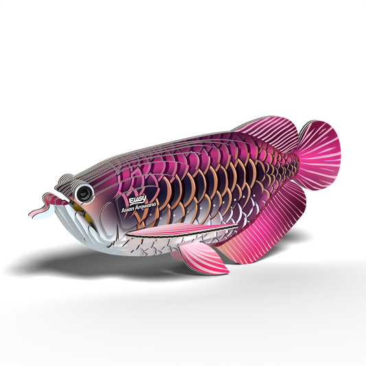 EUGY ASIAN AROWANA