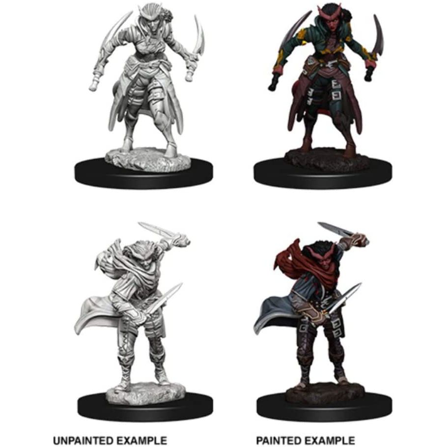 D&D NOLZUR'S TIEFLING FEMALE ROGUE