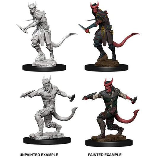 Nolzur's Male Tiefling Rogue