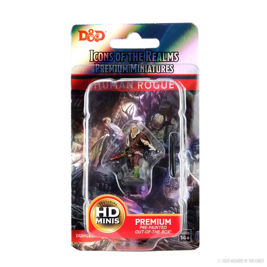 D&D PREMIUM HUMAN ROGUE