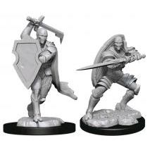 D&D NOLZUR'S WARFORGED FIGHTER MALE