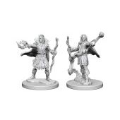 Pathfinder Deep Cuts: Elf Male Sorcerer